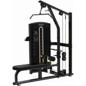 Lat Pull / Low Row