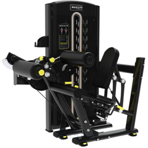 Seated Leg Curl