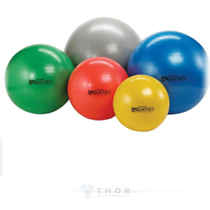 TheraBand Pro Series Pilates Topları